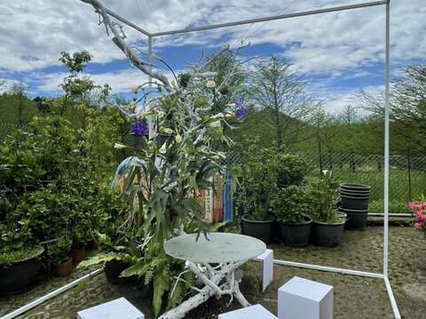 財福海芋田活潑的幾何造型花田餐桌可一覽無遺壯麗山景