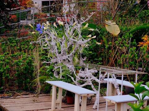 曹家花田香的花田餐桌花藝高雅 (Ku Flower提供)