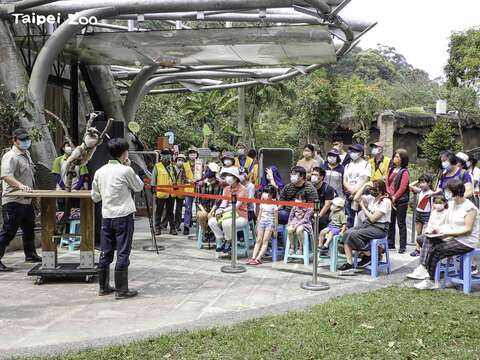 「動物保母講古」是許多現代化動物園，向遊客介紹動物的一種方式
