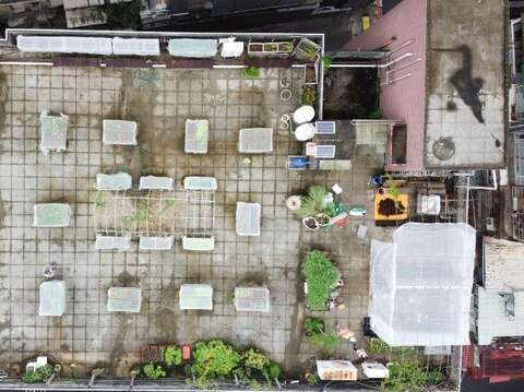錦安區民活動中心屋頂菜園-空拍照
