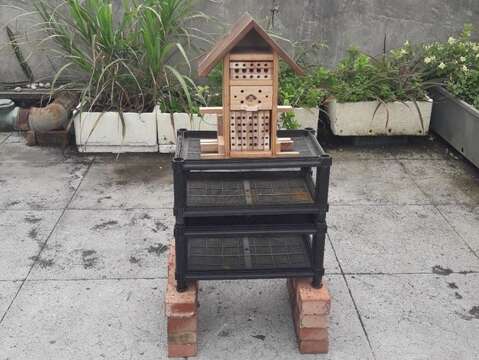 獨居蜂公寓