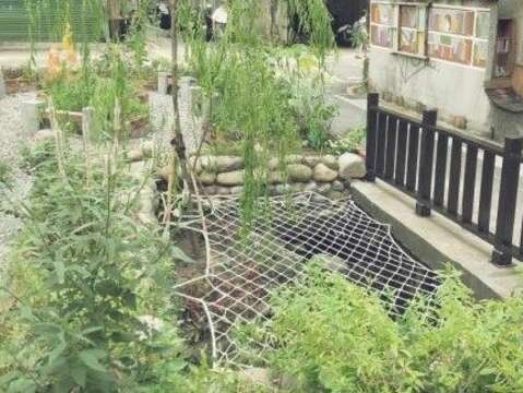 霧裡薛圳支流生態教育區
