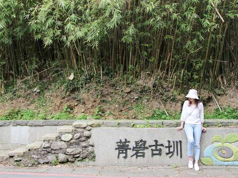 士林菁山社区に紅葉の美景が限定登場