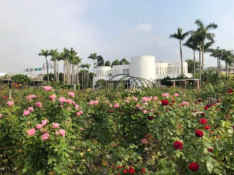 花海下的小白宮。