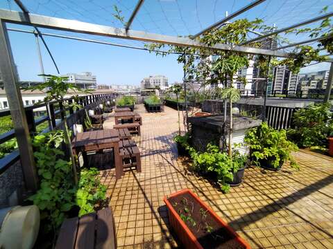 北原會館綠屋頂一景
