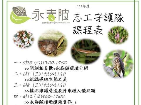 永春陂志工課程表