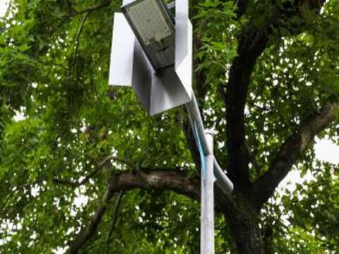 Hooded LED Streetlights Help Strengthen Firefly Conservation