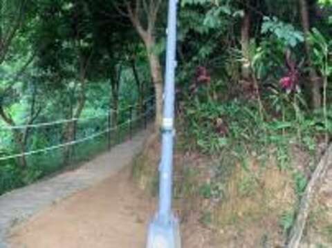 Hooded LED Streetlights Help Strengthen Firefly Conservation
