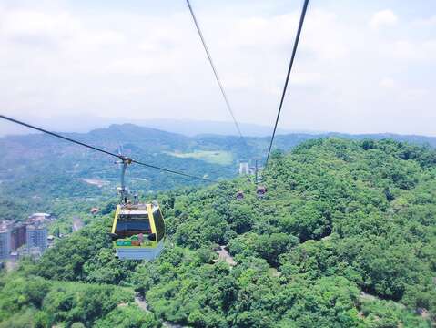搭乘貓纜，飽覽高空群山風景