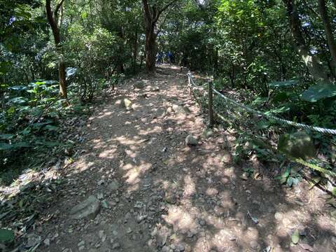 楓丹白露步道林蔭密布，動植物多樣