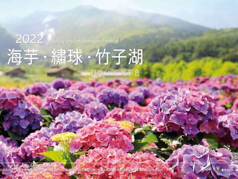 2022竹子湖繡球花季將於520登場(圖片來源_北投區農會)