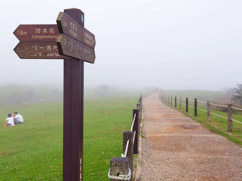 陽明山擎天崗(高讚賢攝)