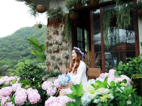 2022 Zhuzihu Hydrangea Festival Kicks-off on May 20