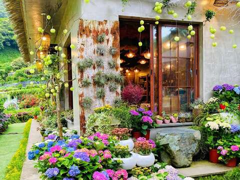 曹家花田香的小屋花牆前是「必拍景點」，屋內還有手作的多款夢幻乾燥花束