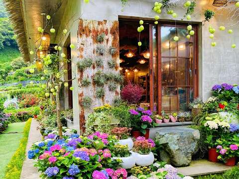 2022 Zhuzihu Hydrangea Festival Kicks-off on May 20