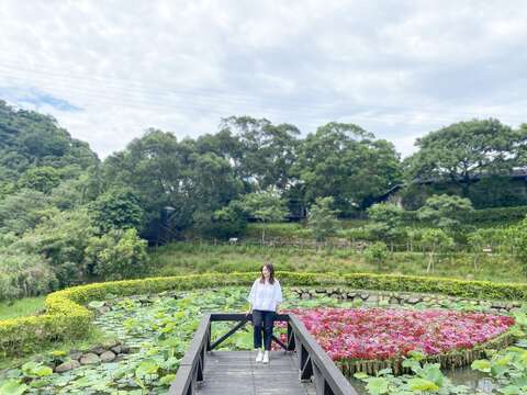 同心池最熱門的拍照打卡景點