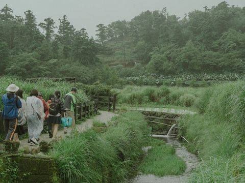 參與縱走之戀民眾在依山傍水的頂湖海芋步道聽導覽老師專業介紹，滿載而歸