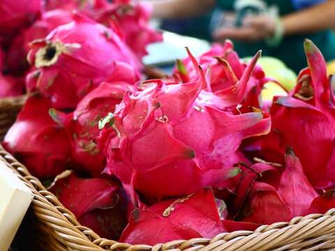 Bazar Petani Expo Bunga Juni