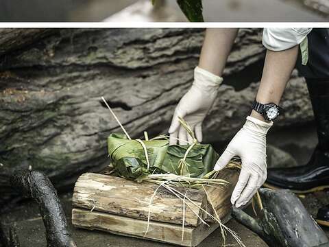 Taipei Zoo to Close June 20-30 for Summer Recess, Provide Ice Zongzi to Animals to Celebrate Dragon Boat Festival