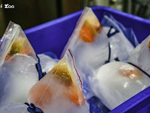 Taipei Zoo to Close June 20-30 for Summer Recess, Provide Ice Zongzi to Animals to Celebrate Dragon Boat Festival