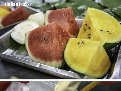Taipei Zoo to Close June 20-30 for Summer Recess, Provide Ice Zongzi to Animals to Celebrate Dragon Boat Festival