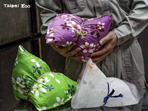 Taipei Zoo to Close June 20-30 for Summer Recess, Provide Ice Zongzi to Animals to Celebrate Dragon Boat Festival