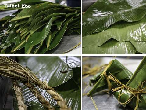 動物專屬的粽子，是使用月桃葉、草繩和芭蕉葉等素材來製作