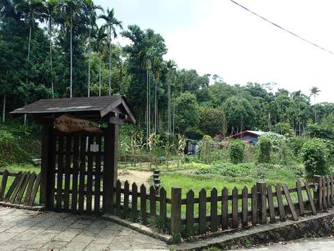 文山社大實習農園–樟湖農園