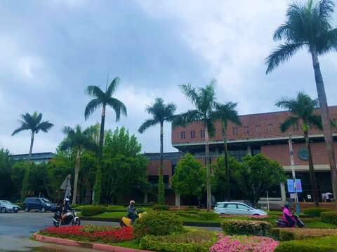 中山南路上聳立高大的大王椰子(圖片來源：臺北市政府工務局公園路燈工程管理處)