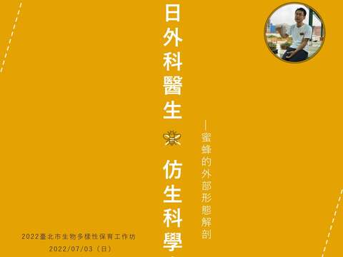 生物多樣性保育工作坊-蜜蜂的外部形態解剖