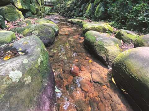 Walk along the streams in the mountains and find a place to cool down in summer in Taipei!