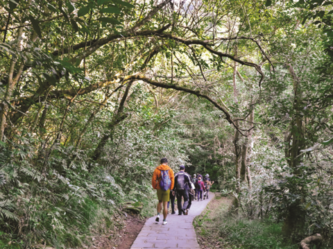 Shaded by greenery, Dagouxi Trail leads people on a leisurely hike in the mountain forest.