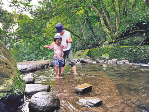 坪頂新圳の頂上には小川が流れていて、水深は浅く、水流も穏やかなので子どもたちが遊ぶのに適しています。