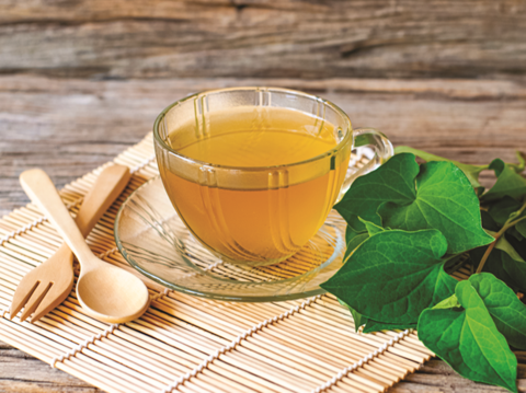 Herbal tea brewed with fish mint and mulberry leaves helps to relieve heat in summer. (Photo/Plu Kaow)