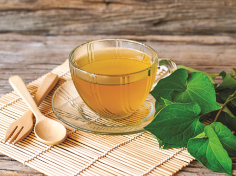 どくだみ、桑の葉で淹れたお茶は夏の暑さを和らげることができます。(写真/Plu Kaow)