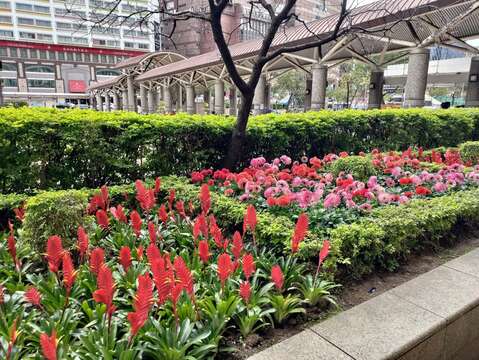 鮮豔的花卉在臺北車站前廣場迎接著到訪的遊客(圖片來源：臺北市政府工務局公園路燈工程管理處)