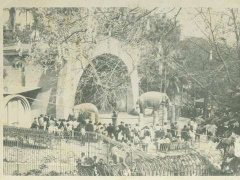 昔日圓山動物園大象區圍觀人潮(徐素津提供)(圖片來源：臺北市立圖書館)