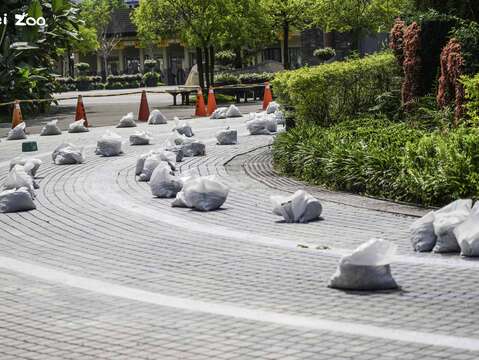 游客参观步道地坪修缮(图片来源：台北市立动物园)