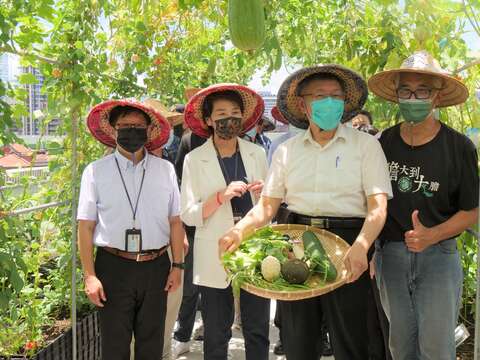 市长与副市长采摘绿屋顶蔬菜收获满满(图片来源：台北市政府产业发展局)