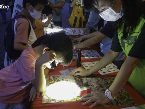 台北市立動物園 7月8月は土曜日夜間開園