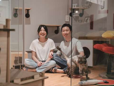 與貓共好 為街貓找到對的人(台北畫刊111年7月)
