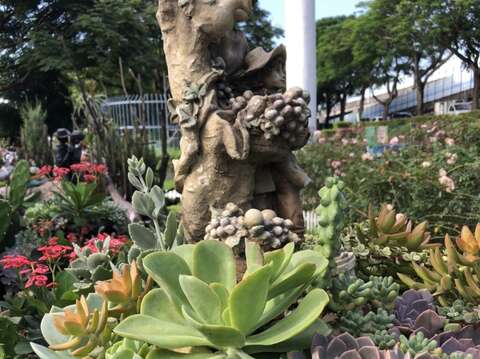 水亮光澤的綠色、紫色、粉色和深咖啡色葉片，帶來濃濃的清涼氣息，有些品種甚至呈現紅色的葉緣。(圖片來源：臺北市政府工務局公園路燈工程管理處)