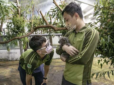 保育員：「Bess」要和大家好好相處哦！(圖片來源：臺北市立動物園)