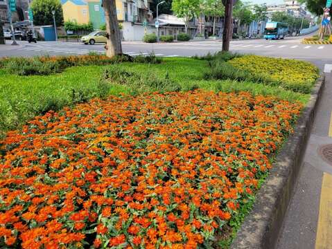 雙北節點-艋舺大道(華翠大橋)(圖片來源：臺北市政府工務局公園路燈工程管理處)
