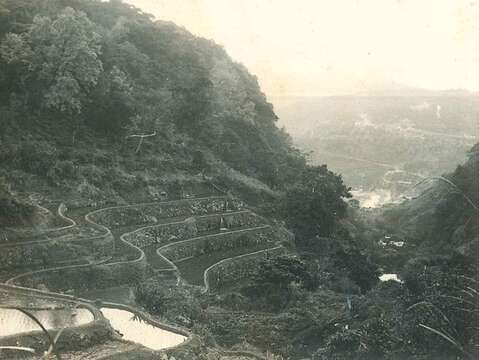 1960年代陽明山磺溪上游梯田美景(由高傳棋提供)(圖片來源：臺北市立圖書館)