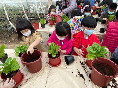蔬菜盆栽種體驗(圖片來源：臺北市政府產業發展局)