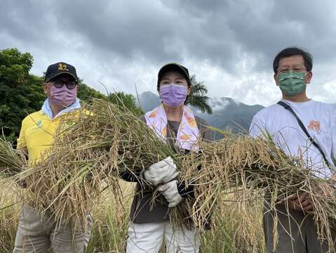 割稻豐收體驗(圖片來源：臺北市政府產業發展局)