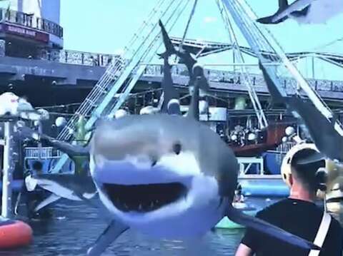 利用手機就能欣賞鯊魚在天空悠遊(圖片來源：臺北大眾捷運股份有限公司)