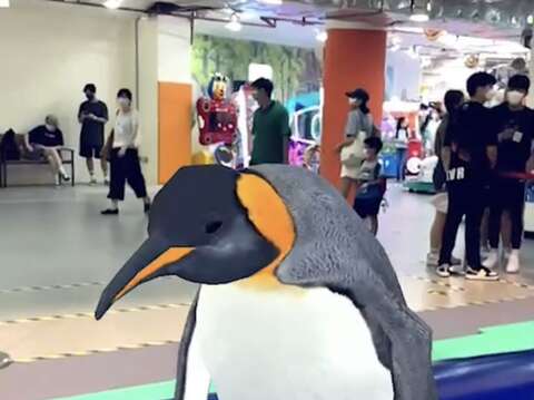 來海底AR樂園探索可愛海洋生物(圖片來源：臺北大眾捷運股份有限公司)