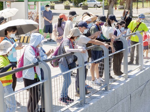 認識關渡碼頭濕地景觀(圖片來源：臺北市政府觀光傳播局)